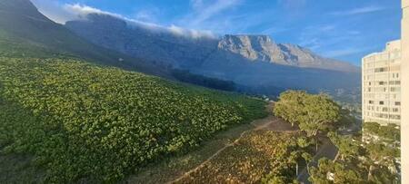 Studio apartment in Vredehoek