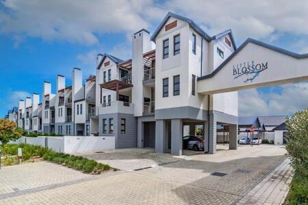 1 Bedroom Apartment in Sitari