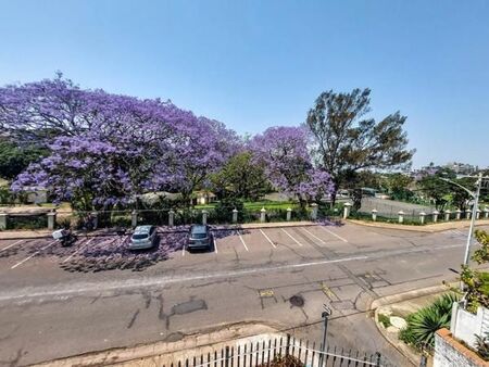 3 Bedroom Apartment in Morningside