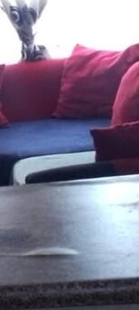 2 Bedroom House in Kagiso