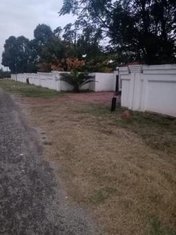 3 Bedroom House in Walkerville