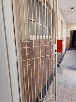 2 Bedroom Apartment in Bellevue