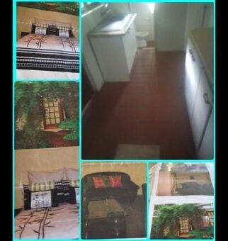 1 Bedroom Apartment in Kensington