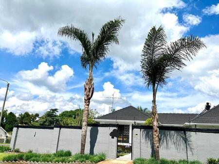 3 Bedroom House in Illiondale