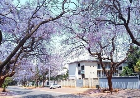 2 Bedroom Apartment in Hatfield