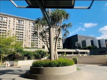 2 Bedroom Apartment in Morningside