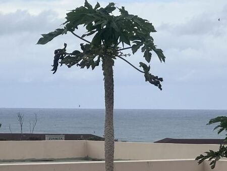 3 Bedroom Simplex in Margate