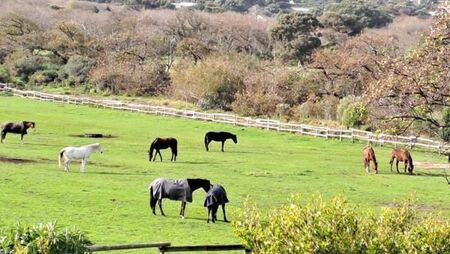 1 Bedroom Apartment in Noordhoek