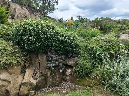 2 Bedroom House in Olivedale