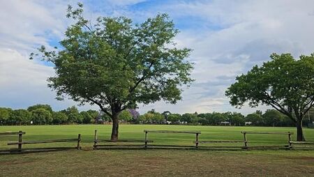 1 Bedroom Apartment in Irene