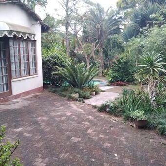 1 Bedroom Apartment in Ashley