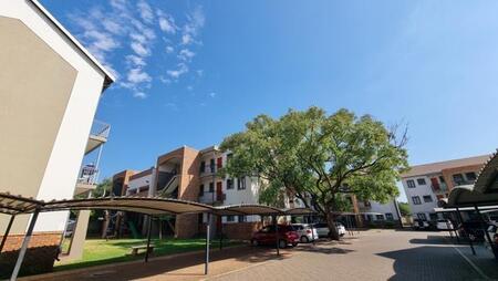 3 Bedroom Apartment in Montana