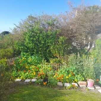 3 Bedroom House in St Francis Links