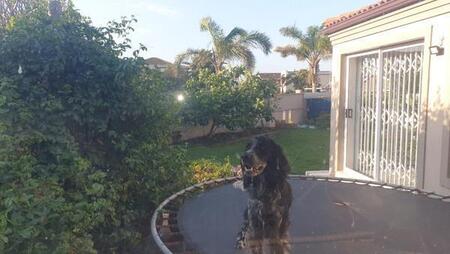 2 Bedroom House in Wavecrest