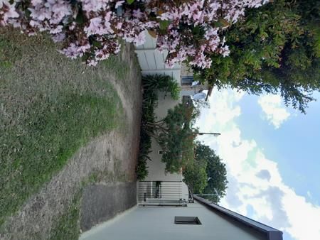 2 Bedroom Apartment in Broadwood