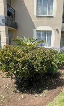 3 Bedroom Townhouse in Dalpark Ext 1