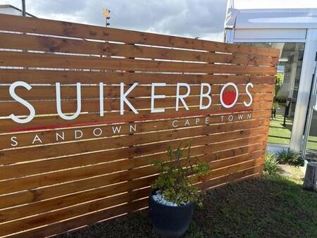 1 Bedroom Apartment in Sandown