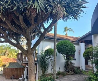 1 Bedroom Apartment in Woodside