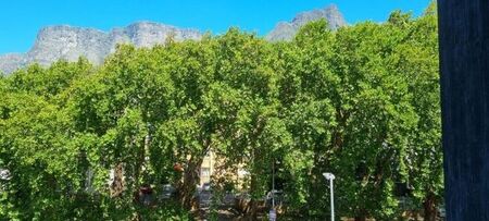 2 Bedroom apartment to rent in Rondebosch, Cape Town