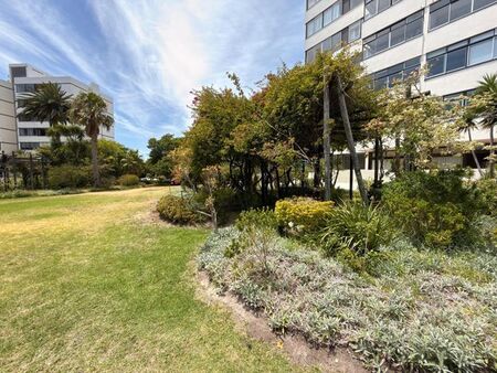1 Bedroom apartment to rent in Claremont Upper, Cape Town