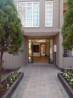 2 Bedroom Flat in Lambton Gardens