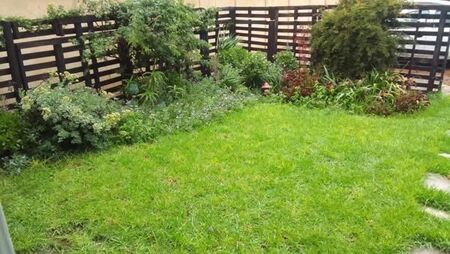 1 Bedroom Apartment in Sydenham