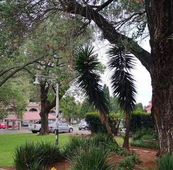 1 Bedroom Apartment in Albertville