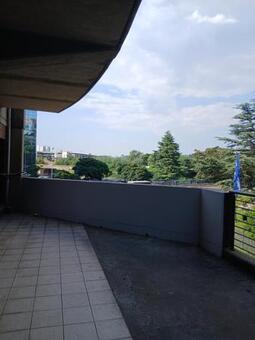 2 Bedroom Apartment in Auckland Park