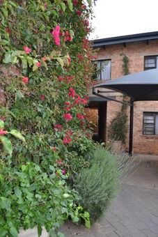 Studio Apartment in Westdene