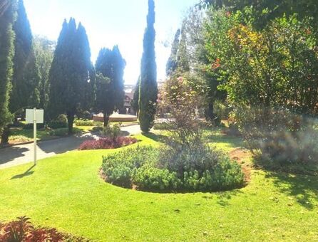 1 Bedroom Townhouse in Albertville