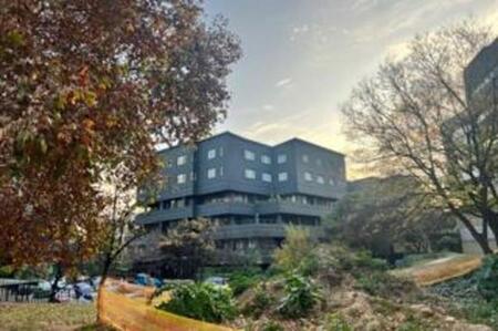 1 Bedroom Apartment in Sandown