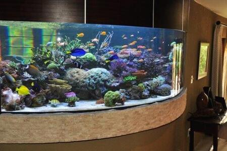 4 Bedroom House in Rivonia