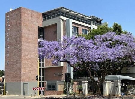 Studio apartment in Clydesdale