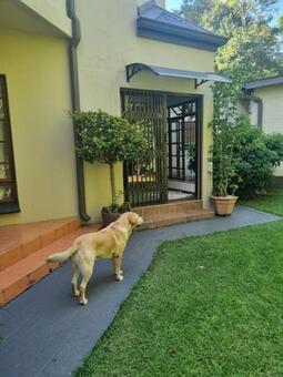 1 Bedroom House in Brooklyn