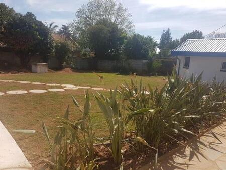 Bachelor apartment in Krugersdorp North