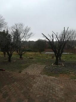 3 Bedroom House in Ladybrand