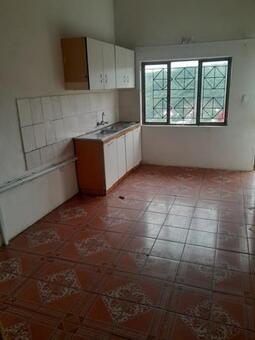 1 Bedroom Apartment in Sydenham