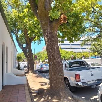 3 Bedroom Townhouse in Stellenbosch Central