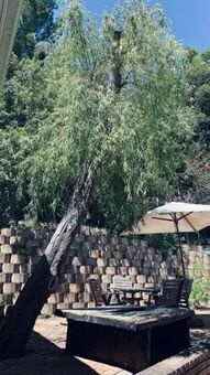 Studio apartment in Hout Bay and surrounds