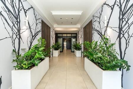 1 Bedroom Apartment in De Waterkant