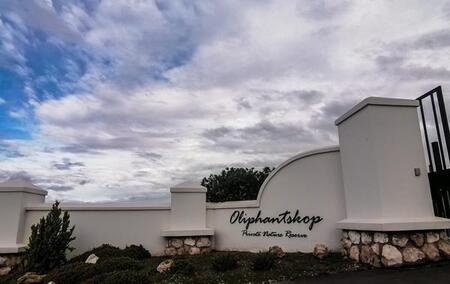 1 Bedroom Flat in Olifantskop