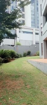 3 Bedroom Apartment in Morningside