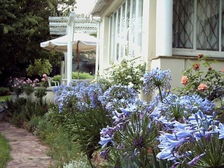 1 Bedroom Apartment in Rosebank