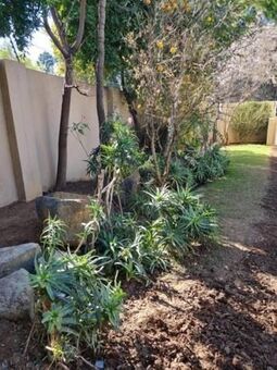 1 Bedroom Apartment in Rivonia