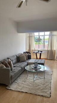 1 Bedroom Apartment in Morningside