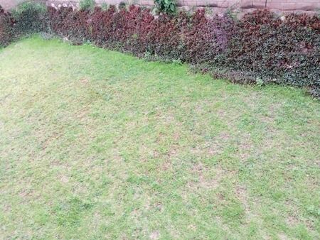 3 Bedroom Apartment in Brindhaven