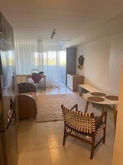 Bachelor apartment in Mowbray