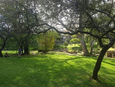 3 Bedroom Apartment in Morningside