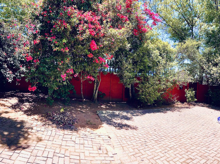 1 Bedroom House in Blairgowrie