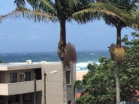 2 Bedroom Apartment in Margate